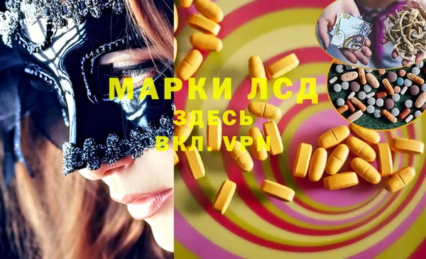 spice Верея