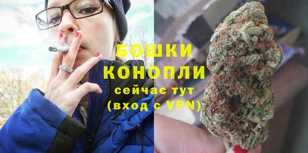 сатива Саяногорск