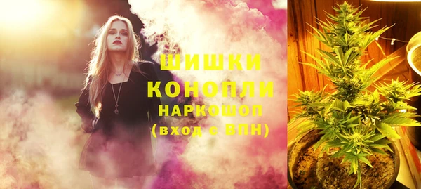 хмурый Бронницы