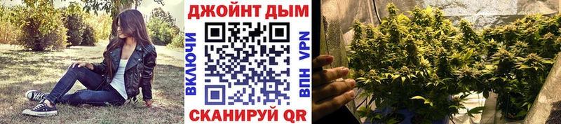 Бошки марихуана Bruce Banner  продажа наркотиков  кракен как зайти  Гатчина 